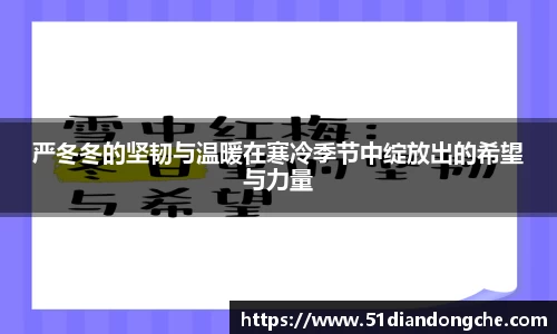 安信15娱乐